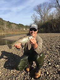 rainbow trout.png