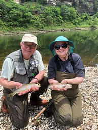 rainbow trout.png