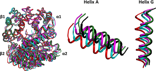 Quaternary Structure Transitions of Human Hemoglobin