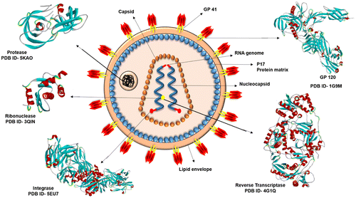 Molecular docking, QSAR and ADMET basedmining of natural compounds against primetargets of HIV