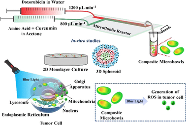 Miniatured Fluidics-Mediated Modular Self-Assembly of Anticancer Drug–Amino Acid Composite