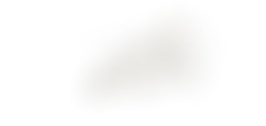 Innovative Strategies in Tendon Tissue Engineering