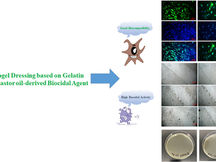 Antibacterial and Biocompatible Hydrogel Dressing Based on Gelatin, CastorOil-Derived Biocidal Agent