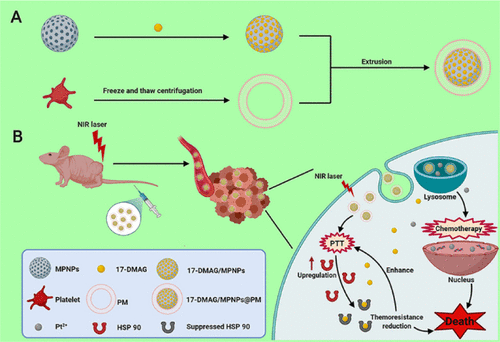 Biomimetic Platform Based on Mesoporous Platinum for Multisynergistic Cancer Therapy