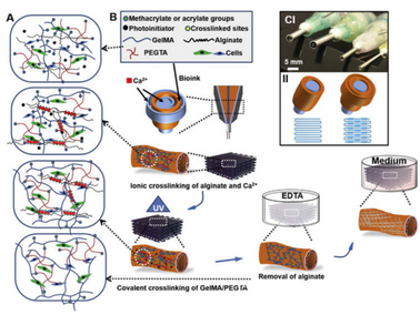 3D Printing in Development of Nanomedicines
