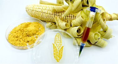 Three-Dimensional Printing Using a Maize Protein: Zein-Based Inks in Biomedical Applications