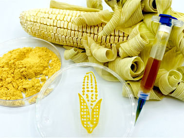 Three-Dimensional Printing Using a Maize Protein: Zein-Based Inks in Biomedical Applications