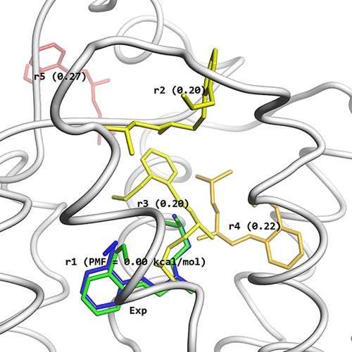 Accurate Binding Configuration Prediction of a G-Protein-Coupled Receptor Using Molecular Dynamics