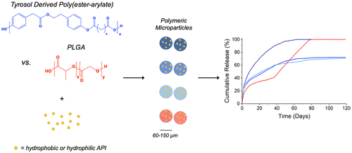 Tyrosol Derived Poly(ester-arylate)s for Sustained Drug Delivery from Microparticles