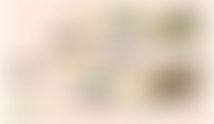 Mechanistic Insight in Surface Nanotopography Driven Cellular Migration