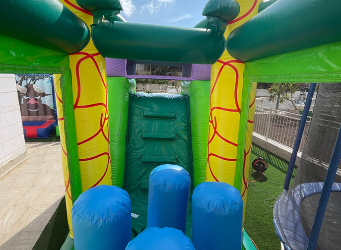 מתנפח אתגרון להשכרה (1).JPG