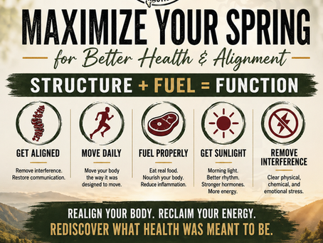 🌱 Maximize Your Spring for Better Health and Alignment