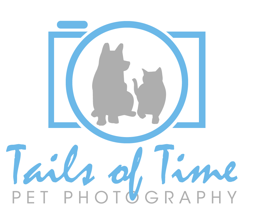 Tails of Time Pet Photography
