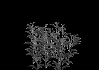未标题-1-03.png