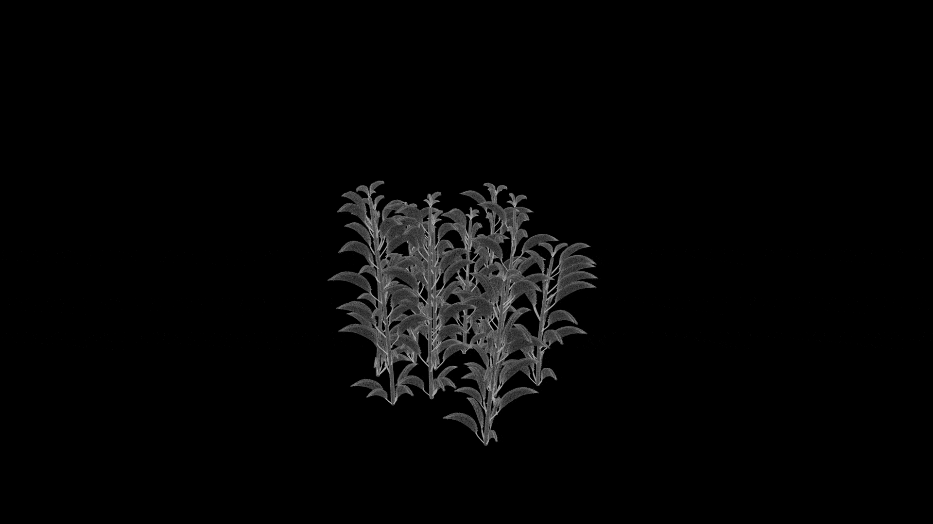 333的副本.gif