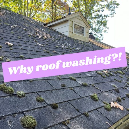 The Importance of Roof Washing: Protect and Enhance Your Home with Professional Roof Cleaning Reading, PA