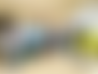 DUHAMIC-ADRI hosted Emmanuel K. from the TROCAIRE  DRC Office