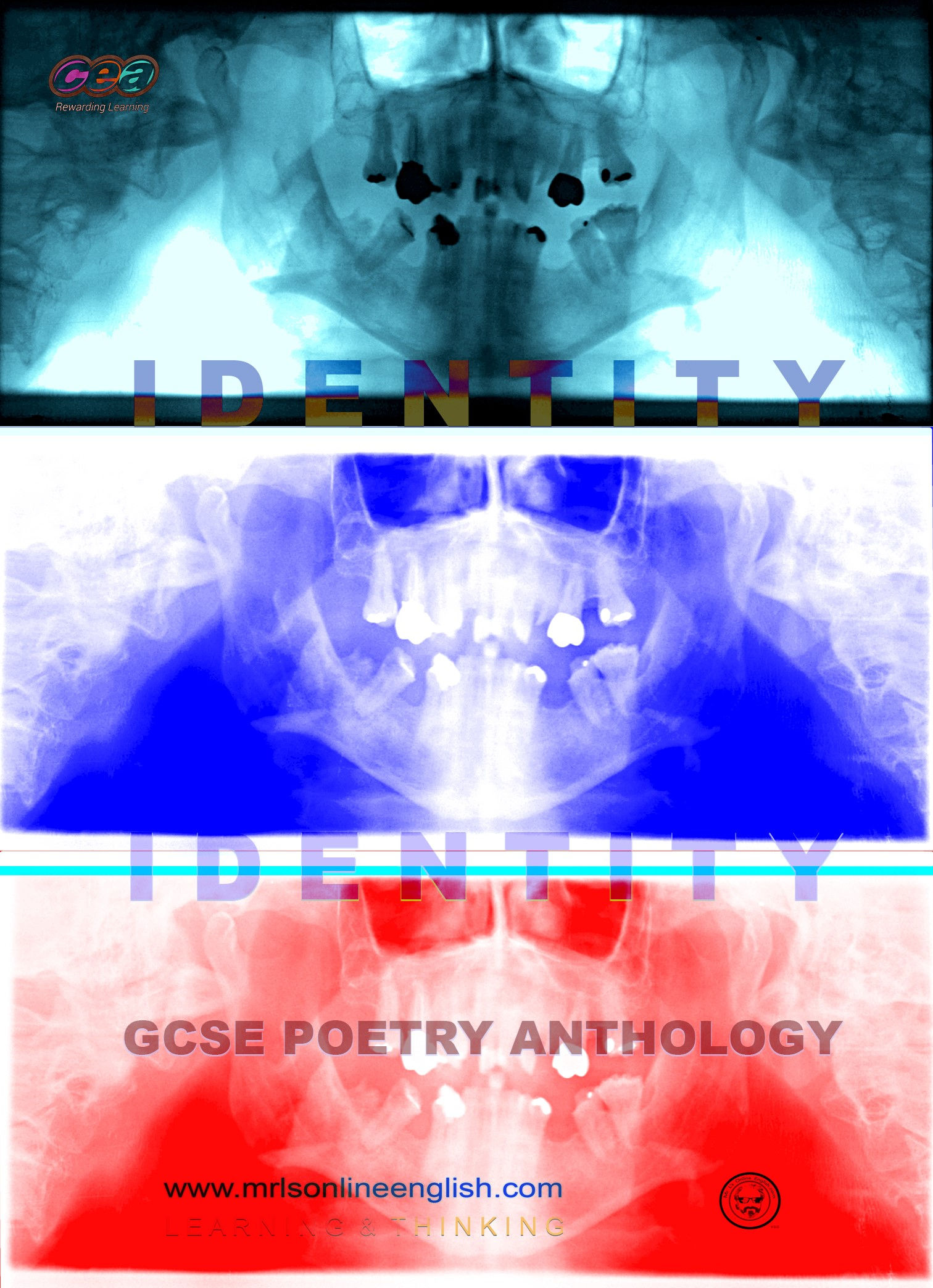 CCEA Identity GCSE Poetry Study Guide