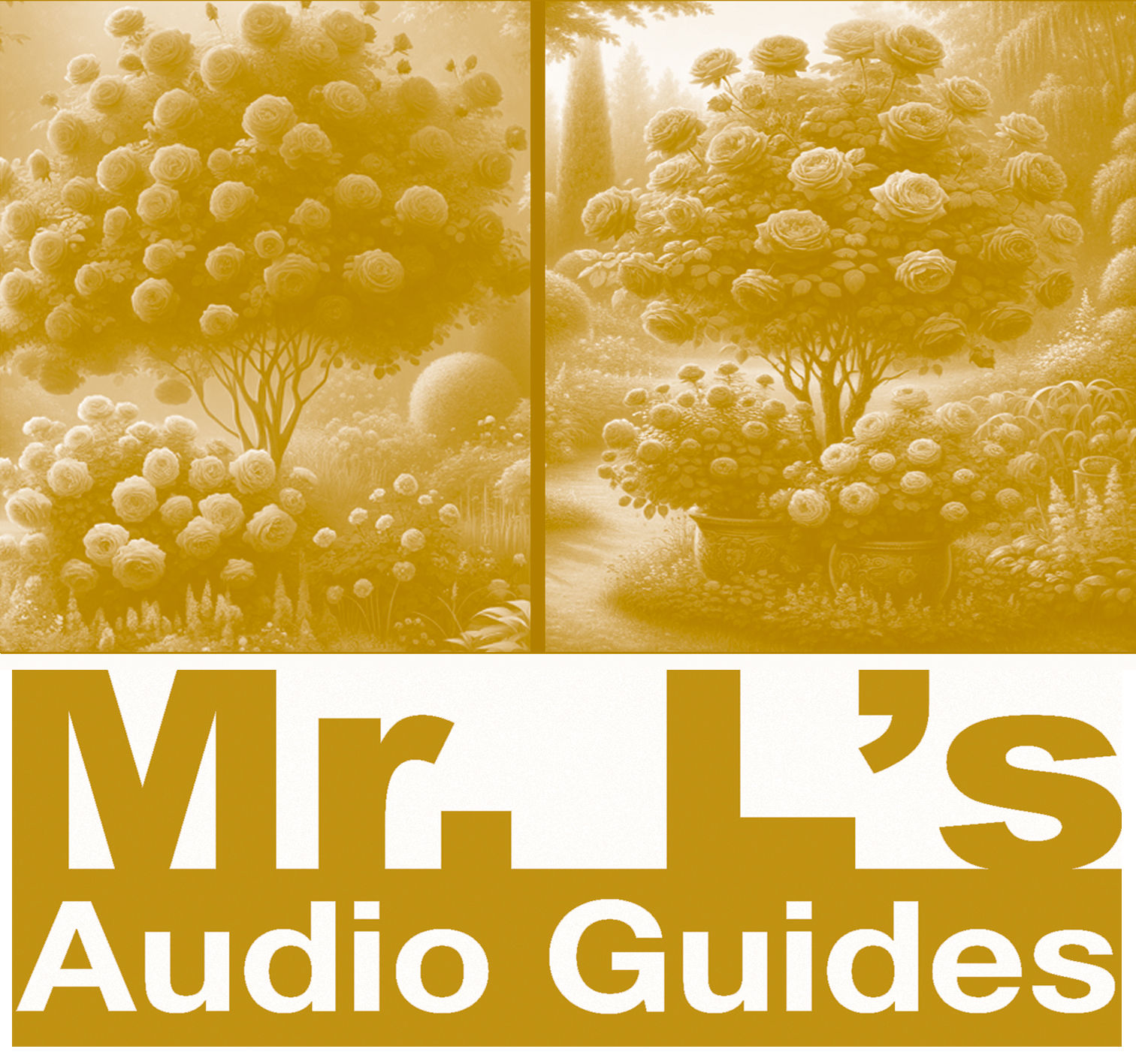 Four images of garden shrubs and bushes. Mr L's Audio Guides.