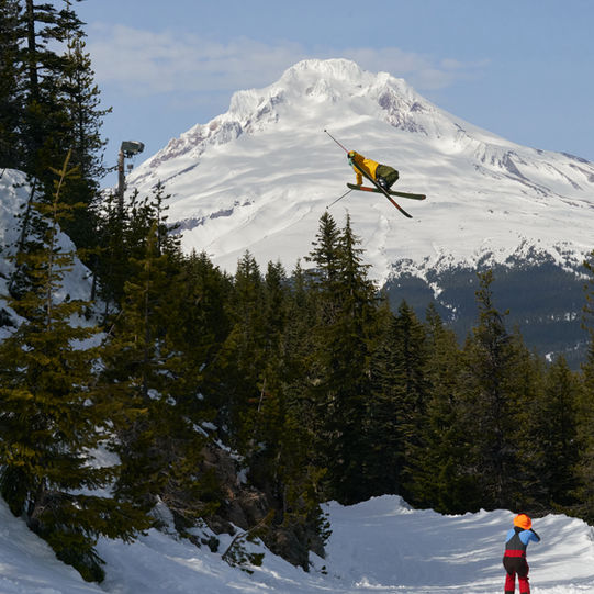 MoneyShotsFULL 2.jpg