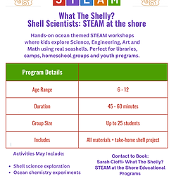 STEM program flyer