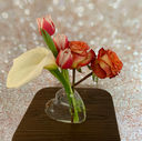 IMG_2680.jpeg