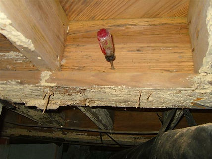termite-inspection-and-treatment.jpg