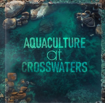 Aquaculture at Crosswaters