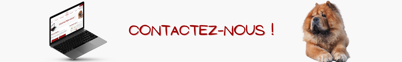 contactez nous.png