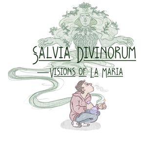 Salvia Divinorum — Visions of La Maria