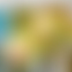 Super Bloom – Block 3