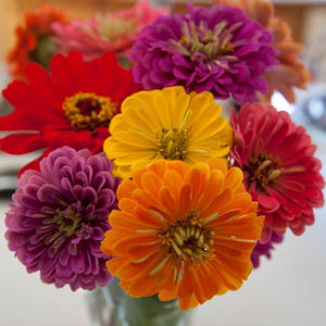 Hopping with Moda – Winners!