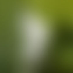 Mothers Day and Silhouette Challenge Album