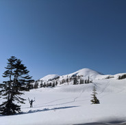 IMG_20200319_150957 (1).jpg