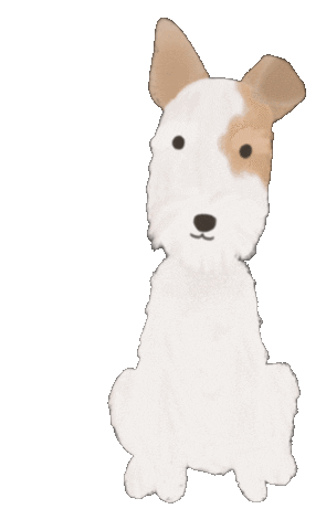 giphy dog.gif