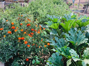 3 Dirty Secrets of Garden Organizing