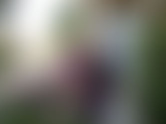        Personal Organizers S & K