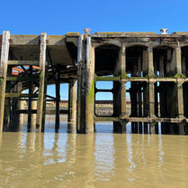 Harrison's Wharf, jetty refurbishment, greenheart timber fendering, greenheart fendering, marine access solutions, marine ladder installation, brow removal, bridge removal, navigation lights concrete repairs, UXO surveys, all tide moorings, marine structure survey, marine civil engineering, 