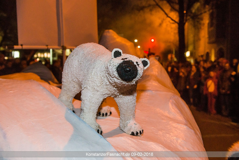 Fasnacht 2018 (91)