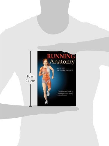 الصورة المصغرة: Running Anatomy