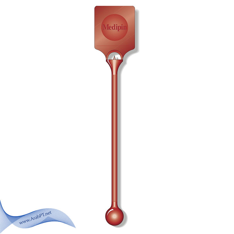 الصورة المصغرة: The Diabetic Toes Test