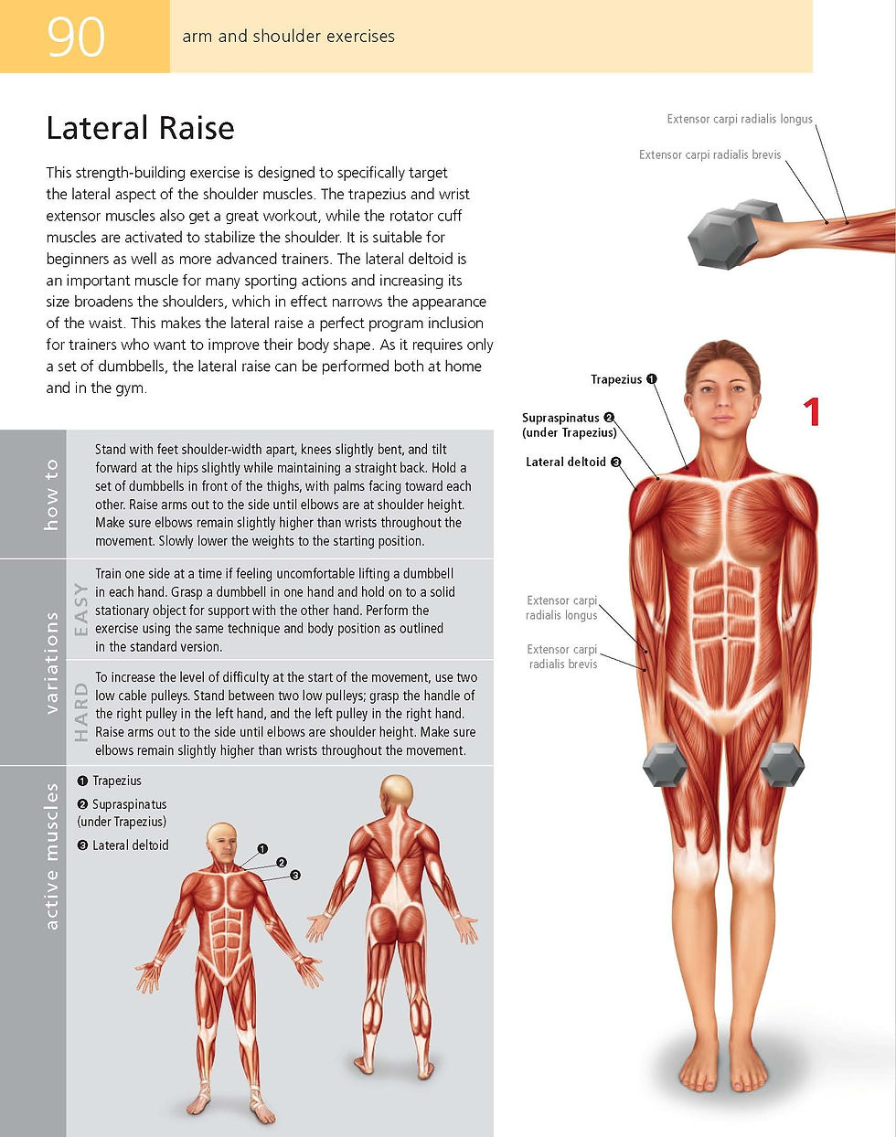الصورة المصغرة: The Student's Anatomy of Exercise Manual
