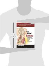 الصورة المصغرة: The Vital Glutes