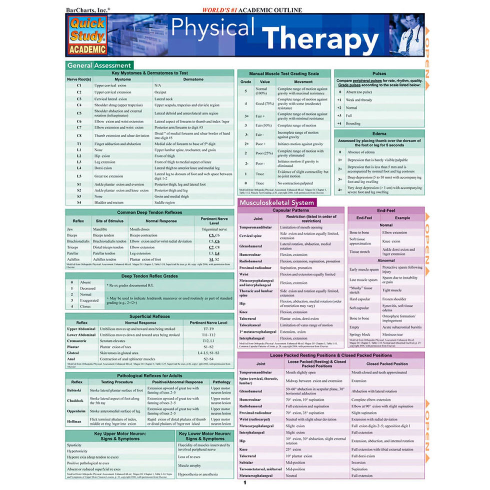 الصورة المصغرة: PHYSICAL THERAPY