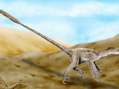 What was a Velociraptor? - A Guide for Kids