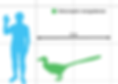 Blue silhouette of a person waving next to green Velociraptor mongoliensis outline. Shows 2m scale. Grid background.