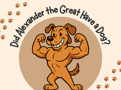 Did Alexander the Great Have a Dog? - History Myth Buster