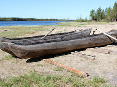 What is the Mesolithic? - All the Important Bits for Key Stage 2