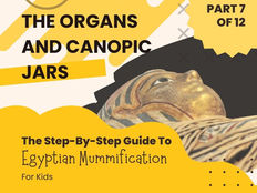 The Organs and Canopic Jars - A Step-By-Step Guide To Egyptian Mummification For Kids - Part 7 of 12