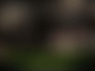 How Tough were the Spartans? An Easy Guide